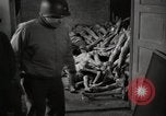 Image of pile of emaciated corpses Germany, 1945, second 5 stock footage video 65675073907