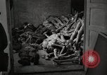 Image of pile of emaciated corpses Germany, 1945, second 12 stock footage video 65675073907