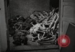 Image of pile of emaciated corpses Germany, 1945, second 14 stock footage video 65675073907