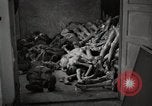 Image of pile of emaciated corpses Germany, 1945, second 16 stock footage video 65675073907