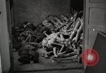 Image of pile of emaciated corpses Germany, 1945, second 17 stock footage video 65675073907
