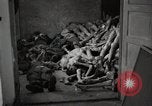 Image of pile of emaciated corpses Germany, 1945, second 19 stock footage video 65675073907