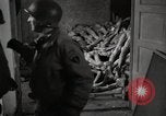 Image of pile of emaciated corpses Germany, 1945, second 20 stock footage video 65675073907