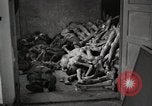 Image of pile of emaciated corpses Germany, 1945, second 23 stock footage video 65675073907