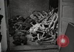 Image of pile of emaciated corpses Germany, 1945, second 26 stock footage video 65675073907