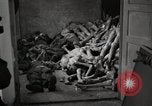Image of pile of emaciated corpses Germany, 1945, second 29 stock footage video 65675073907