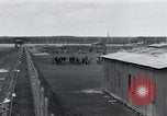 Image of emaciated corpses Landsberg Germany, 1945, second 36 stock footage video 65675073909