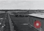 Image of emaciated corpses Landsberg Germany, 1945, second 39 stock footage video 65675073909