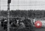 Image of emaciated corpses Landsberg Germany, 1945, second 54 stock footage video 65675073909