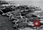 Image of liberated surviving concentration camp prisoners Landsberg Germany, 1945, second 24 stock footage video 65675073910