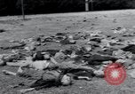 Image of liberated surviving concentration camp prisoners Landsberg Germany, 1945, second 29 stock footage video 65675073910