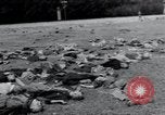 Image of liberated surviving concentration camp prisoners Landsberg Germany, 1945, second 30 stock footage video 65675073910
