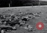 Image of liberated surviving concentration camp prisoners Landsberg Germany, 1945, second 31 stock footage video 65675073910