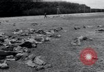 Image of liberated surviving concentration camp prisoners Landsberg Germany, 1945, second 34 stock footage video 65675073910