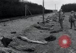Image of liberated surviving concentration camp prisoners Landsberg Germany, 1945, second 36 stock footage video 65675073910