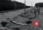 Image of liberated surviving concentration camp prisoners Landsberg Germany, 1945, second 40 stock footage video 65675073910