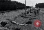Image of liberated surviving concentration camp prisoners Landsberg Germany, 1945, second 42 stock footage video 65675073910