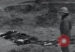 Image of unburied bodies of victims Germany, 1945, second 15 stock footage video 65675073912