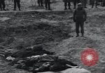 Image of unburied bodies of victims Germany, 1945, second 24 stock footage video 65675073912