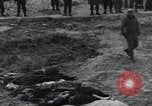Image of unburied bodies of victims Germany, 1945, second 30 stock footage video 65675073912