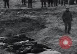 Image of unburied bodies of victims Germany, 1945, second 31 stock footage video 65675073912
