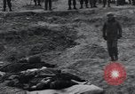 Image of unburied bodies of victims Germany, 1945, second 32 stock footage video 65675073912