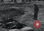 Image of unburied bodies of victims Germany, 1945, second 33 stock footage video 65675073912