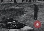 Image of unburied bodies of victims Germany, 1945, second 34 stock footage video 65675073912