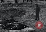 Image of unburied bodies of victims Germany, 1945, second 35 stock footage video 65675073912