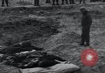 Image of unburied bodies of victims Germany, 1945, second 37 stock footage video 65675073912