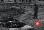 Image of unburied bodies of victims Germany, 1945, second 38 stock footage video 65675073912