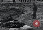 Image of unburied bodies of victims Germany, 1945, second 41 stock footage video 65675073912