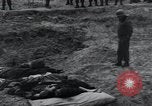 Image of unburied bodies of victims Germany, 1945, second 42 stock footage video 65675073912
