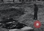 Image of unburied bodies of victims Germany, 1945, second 43 stock footage video 65675073912