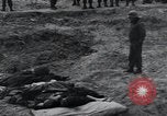 Image of unburied bodies of victims Germany, 1945, second 44 stock footage video 65675073912