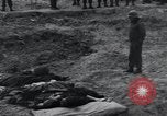 Image of unburied bodies of victims Germany, 1945, second 45 stock footage video 65675073912