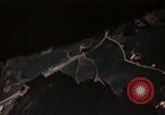 Immagine di Bombardamento Germania, 1945, secondo 6 filmato di repertorio 65675073915