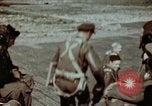 Image of B-26 Marauder bomber Germany, 1945, second 53 stock footage video 65675073916