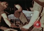Image of B-26 Marauder bomber preparing for a mission Germany, 1945, second 36 stock footage video 65675073919