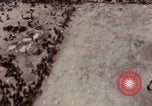 Image of bomb-damaged buildings Worms Germany, 1945, second 3 stock footage video 65675073926