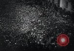 Image of Adolf Hitler Berlin Germany, 1939, second 3 stock footage video 65675073927