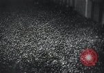 Image of Adolf Hitler Berlin Germany, 1939, second 42 stock footage video 65675073927