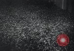 Image of Adolf Hitler Berlin Germany, 1939, second 48 stock footage video 65675073927
