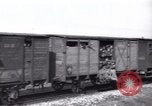 Immagine di Rifugiati ebrei Haifa in Palestina, 1945, secondo 30 filmato di repertorio 65675073935