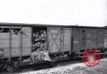 Immagine di Rifugiati ebrei Haifa in Palestina, 1945, secondo 31 filmato di repertorio 65675073935