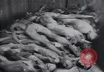 Image of Dwight D Eisenhower Weimar Germany, 1945, second 58 stock footage video 65675073943