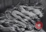 Image of Dwight D Eisenhower Weimar Germany, 1945, second 59 stock footage video 65675073943