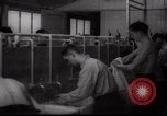 Immagine di Il popolo ebraico Paesi Bassi, 1938, secondo 24 filmato di repertorio 65675073949