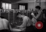 Immagine di Il popolo ebraico Paesi Bassi, 1938, secondo 25 filmato di repertorio 65675073949