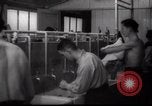 Immagine di Il popolo ebraico Paesi Bassi, 1938, secondo 26 filmato di repertorio 65675073949